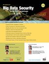 The Conference on Big Data Security