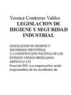 Legislacion de Higiene Y Seguridad Industrial