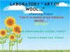 Laboratory of wool