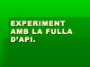 EXPERIMENT AMB LA FULLA D'API