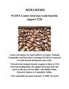 MTECHTIPS;-NCDEX Castor Seed may trade bearish; support 3720