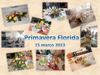 Primavera Florida - 2013