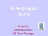El rectángulo áureo