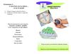 Projet éducatif