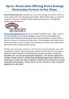 Xpress Restoration Offering Water Damage Restoration Services In San Diego