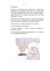 Il fuoco