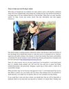 Dog training tips