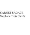 carnet sagace trois Carres
