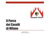 Il Parco dei Cavalli di Milano
