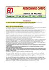 FEDECHIMIE CGTFO - Semaine 12 - 2013