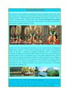Best south India tour packages
