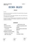 SENEGAL-FATICK * Echo-Bleu N°1