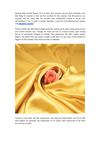 silk fabric from silkfabricuk.com