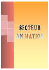 Rapport d'activité du Secteur Animation 
