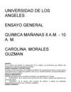 ensayo final