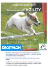 Démonstration d'agility - Samedi 20 avril - Décathlon 
