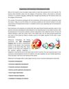 Importance of Ecommerce Development India