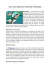 Rhinoplasty