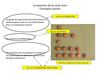 comparacion teorias lamarck y darwin
