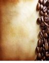 Online Coffee Shop Offers Best Quality and Quantity