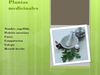 Plantas medicinales