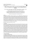 Effect of Occupation on the Levels of Lead in Human Blood in Kenya
