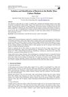 Isolation and Identification of Bacteria in the Rotifer Mass Culture Medium