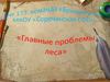 № 177 команда "Бригантина" МКОУ "Сорочинская СОШ". 3 этап "Что...