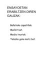 Ensayoetan Erabiltzen Diren Gauzak. 