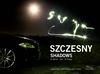 Szczesny "Shadows" - Jaguar Art Collection