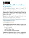 Mesenchymal Stem Cells
