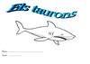 Dossier els taurons