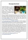 Nicaragua Real Estate