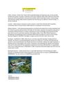Lodha Parel PDF( 13-5-2013