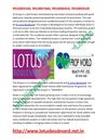 3c Lotus Boulevard 3c Lotus Boulevard Noida 9910007460 3c Lotus Boulevard Sector 100 Noida