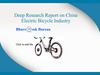 2013 Deep Research Report on China Electric Bicycle Industry