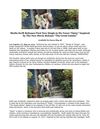 Sheila Swift Releases First New Single in Six Years “Daisy” Inspired by The New Movie Release “The Great Gatsby”