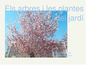 Els arbres i les plantes del jardí. Sant Jordi 4t