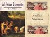 Análisis Literario: La Divina Comedia