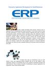 Enterprise Application Development for Small Businesses