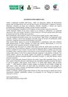 Manifesto Urbino 2019