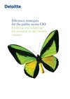Deloitte | Efficiency Strategies for the public sector CIO