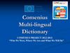 multi-lingual dictionary